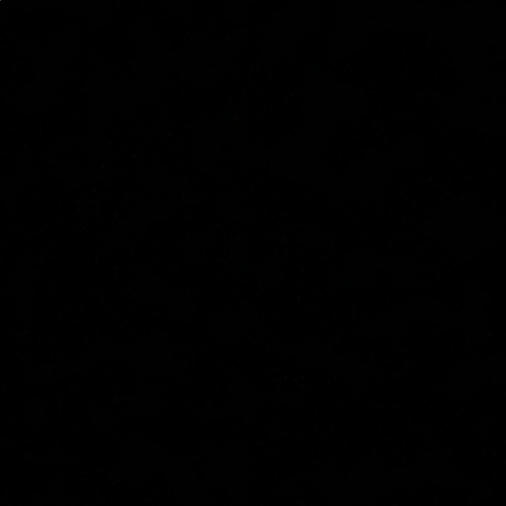 Meet your Posher, Ziana